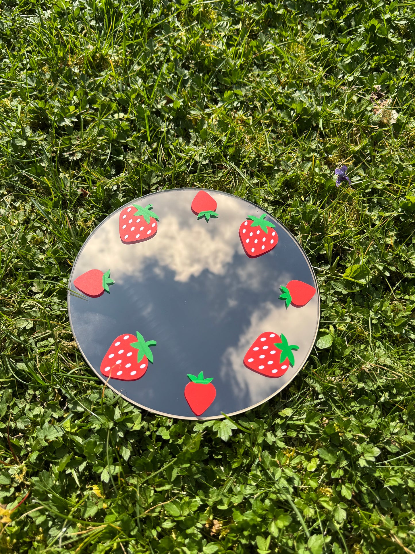 Spiegel mit Erdbeeren