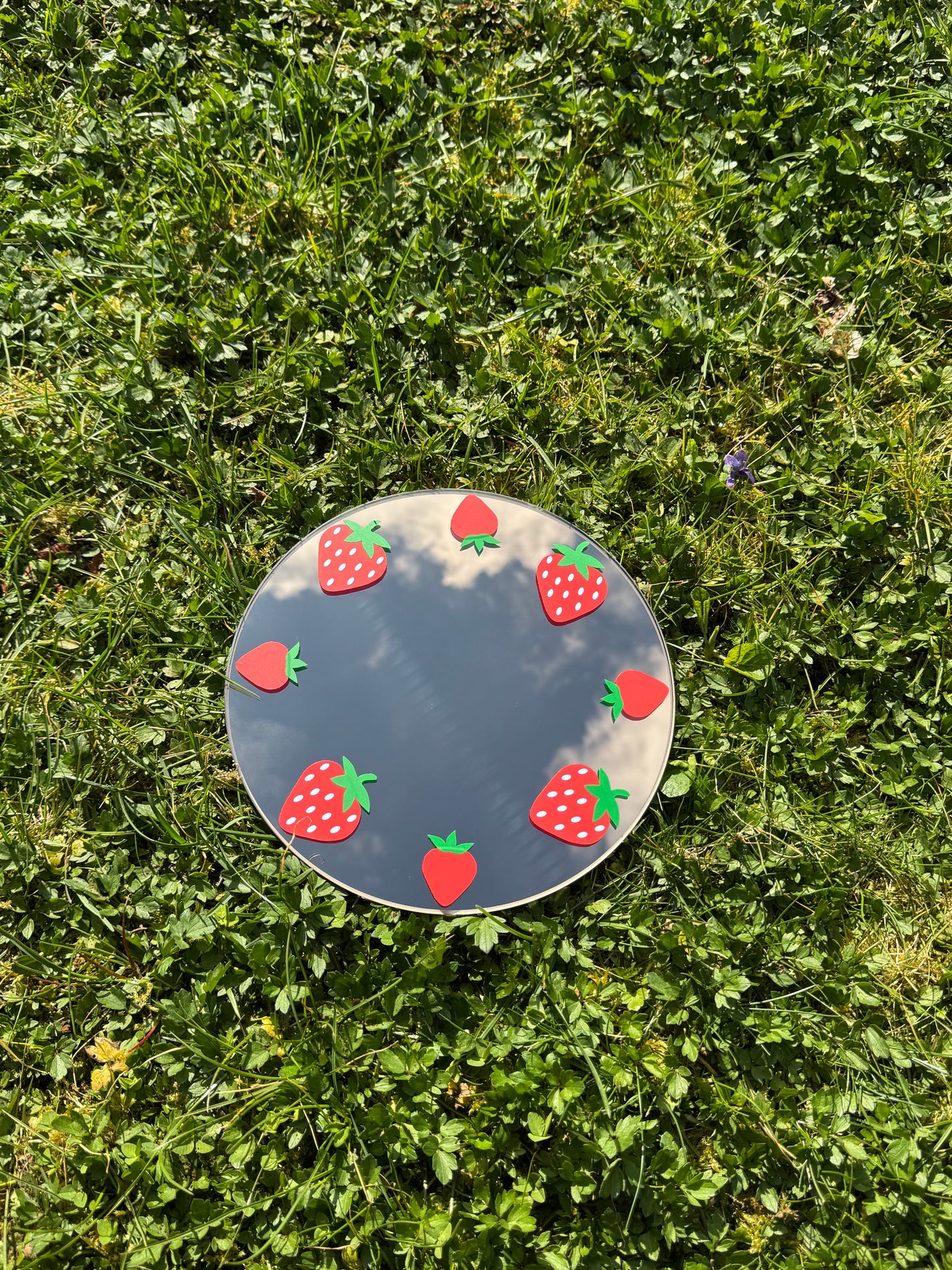 Spiegel mit Erdbeeren